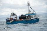 lodestar lh558 whyw22 thur 800_2739yi